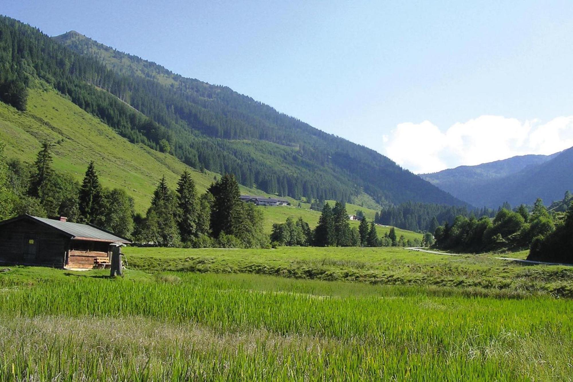 Apartments Schatzberg-Haus, Wildschoenau-Auffach Bagian luar foto
